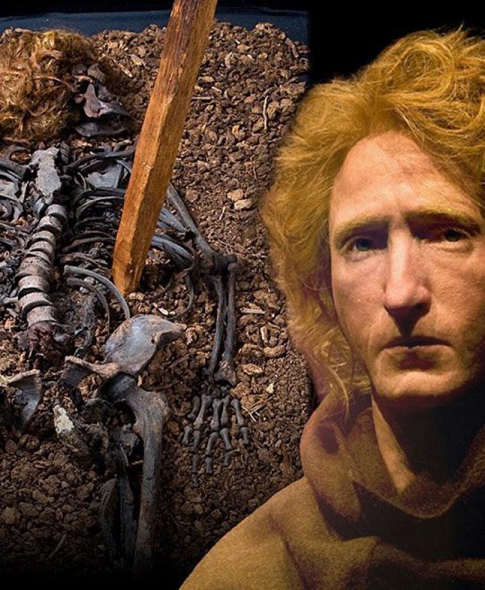 Hibernatus : il a été préservé pendant 700 ans