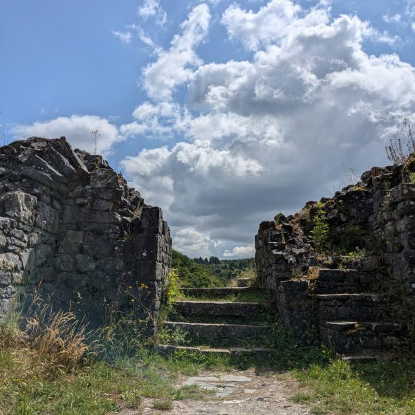 PXL_20250716_094540222