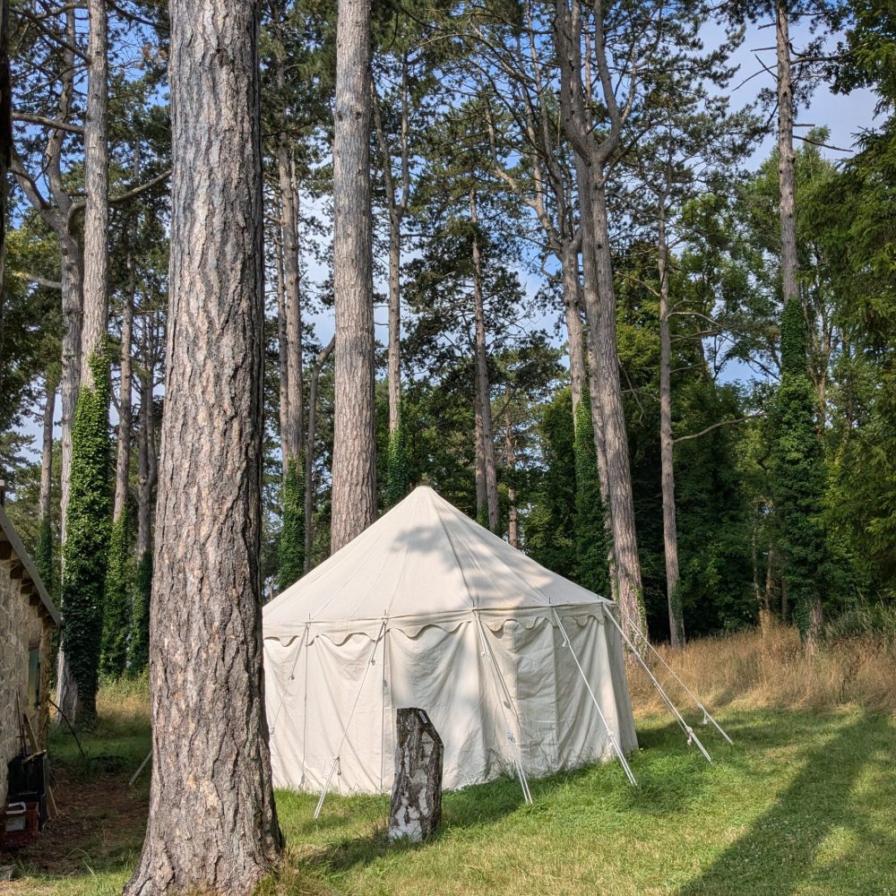 PXL_20250725_091702149