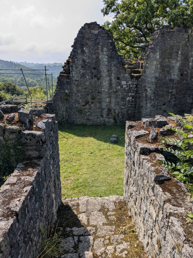 PXL_20250725_094014329