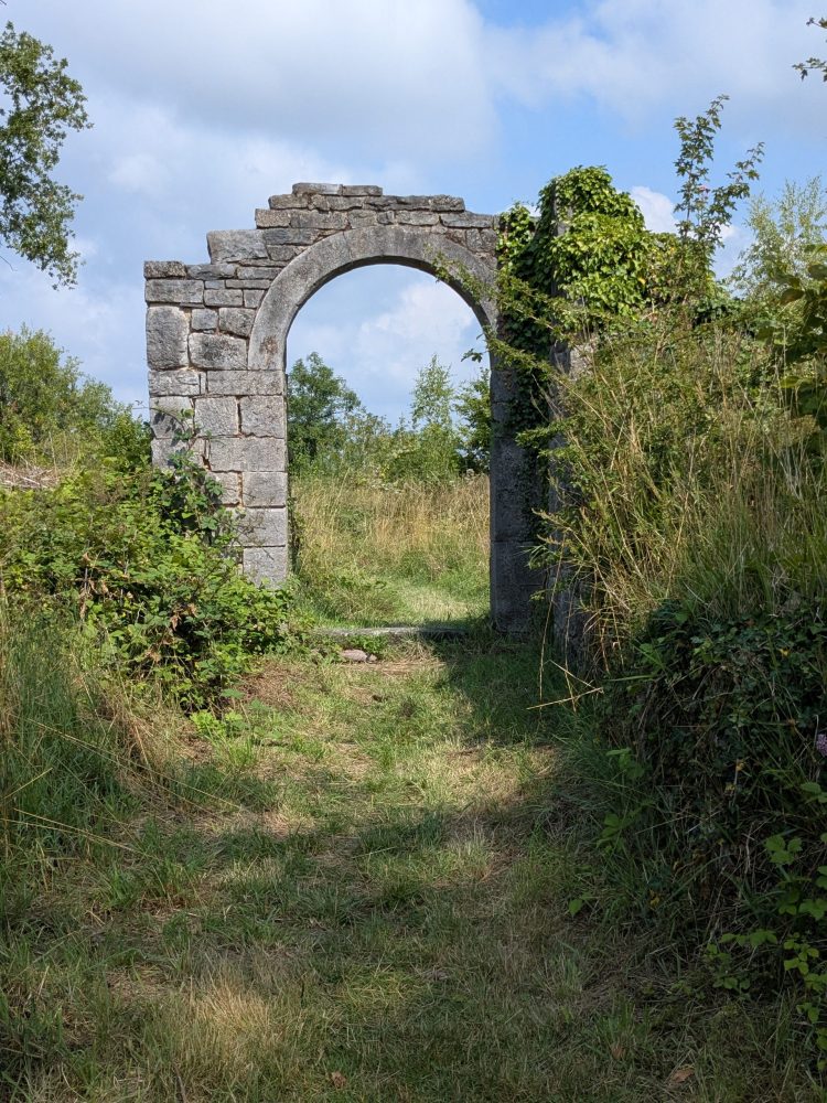 PXL_20250725_094241324