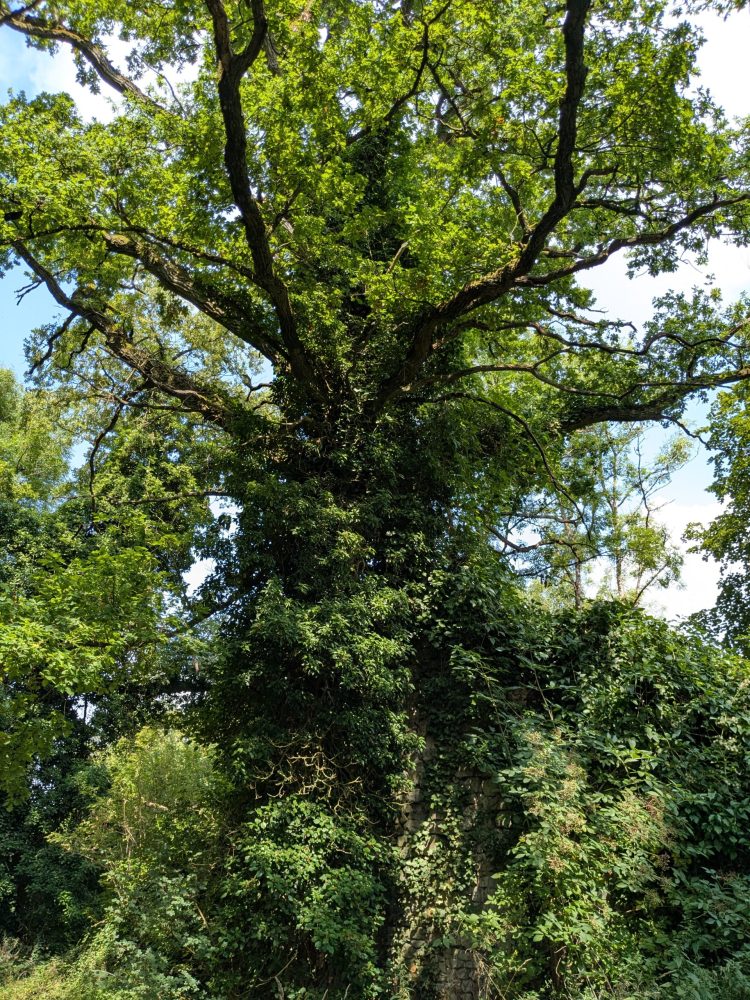 PXL_20250725_095035848