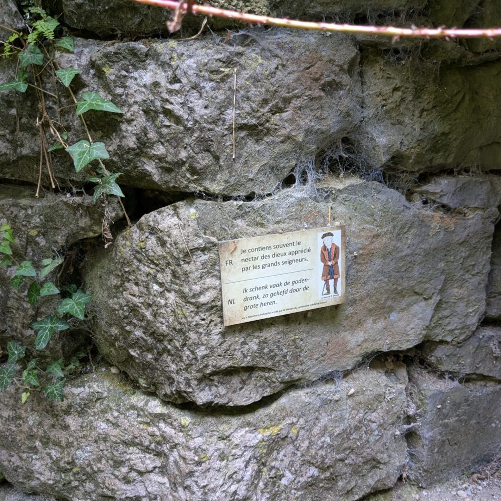 PXL_20250725_095742860