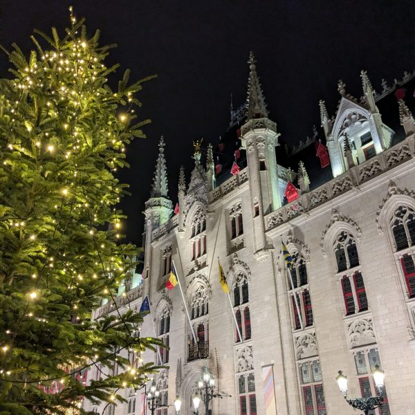 PXL_20251223_165020216